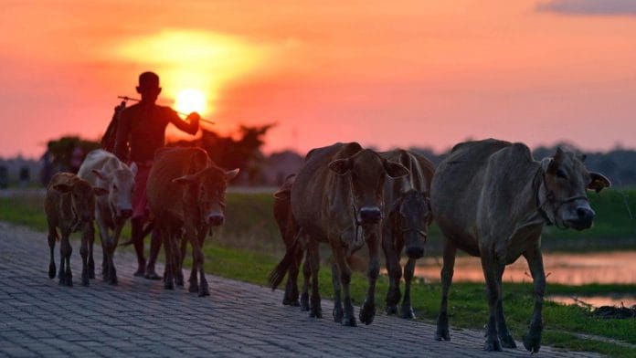 Representational image | ANI