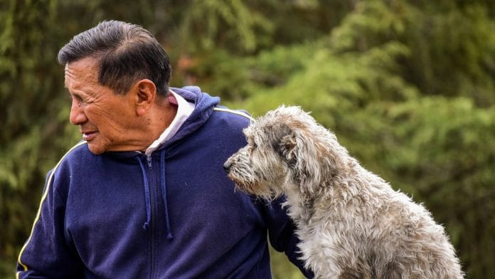 Representative image | Pixabay