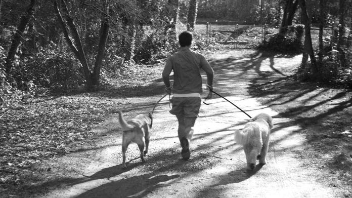 Representational image | Photo: Wikimedia Commons