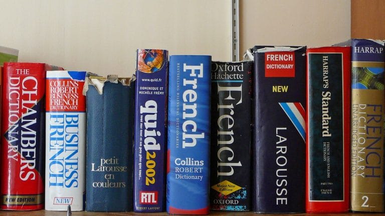 Goblin mode to gaslighting—how dictionaries around the world chose word of the year