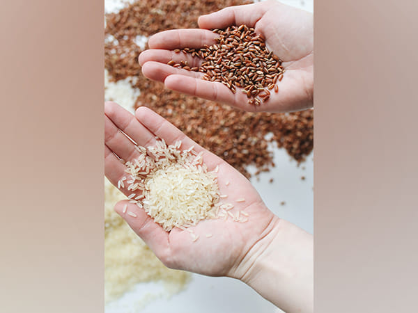 Centre rolls out new integrated food security scheme for 2023