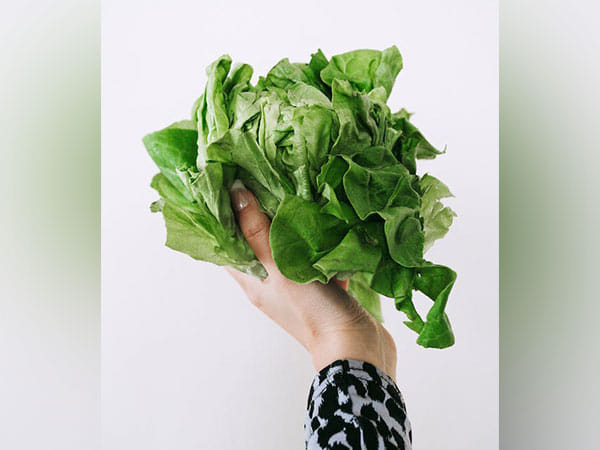Researchers suggest green veggies good for blood vessels