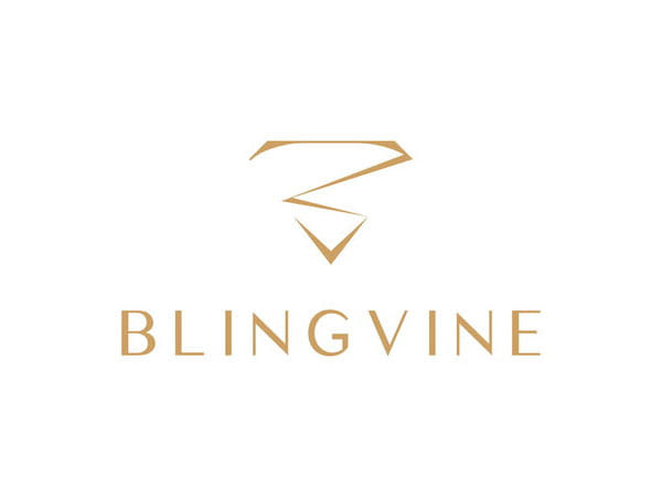 The Unique Business Strategy That Helped Blingvine Reach 1 Lakh Customers