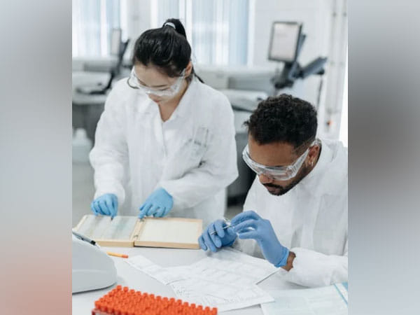 Study reveals how brain game can predict risk of infection