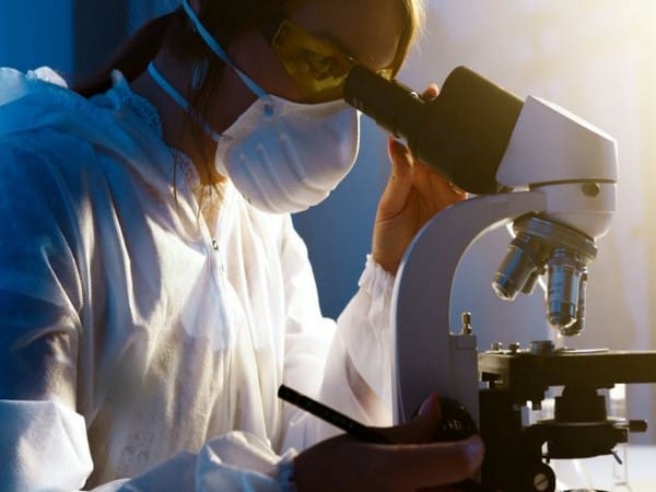 Researchers discover new cellular component with importance for sense of smell