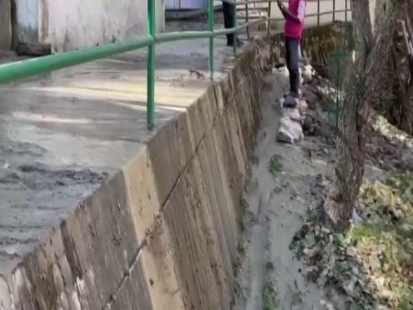 Uttarakhand: Team of scientists to find reasons for Joshimath land subsidence, cracks in houses