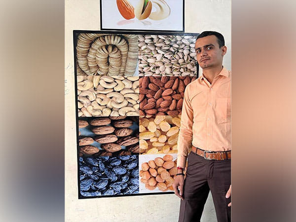 Top 9 Dryfruit Industry Insights: Seasonal Demand, Market Leaders, and Price Changes