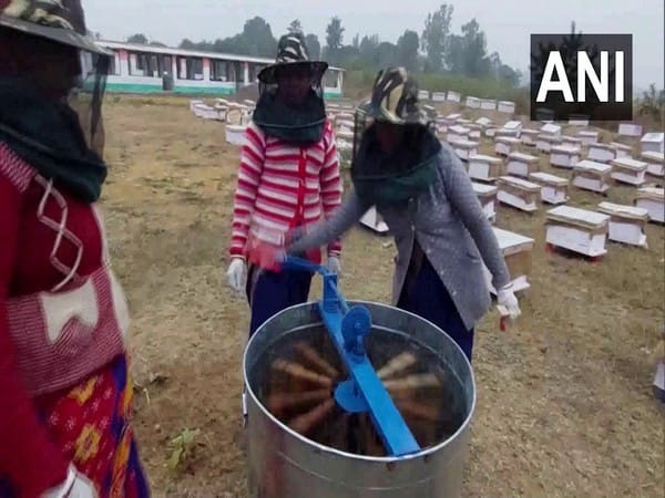 Beekeeping empowers women in Chhattisgarh's Balrampur