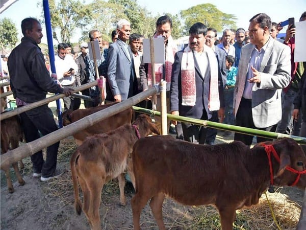 Assam: Purabi Dairy organises Calf Show to highlight benefits of artificial insemination