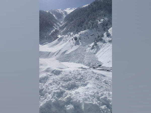 Avalanche: Army evacuates 172 stranded workers in J-K's Zojila Tunnel project