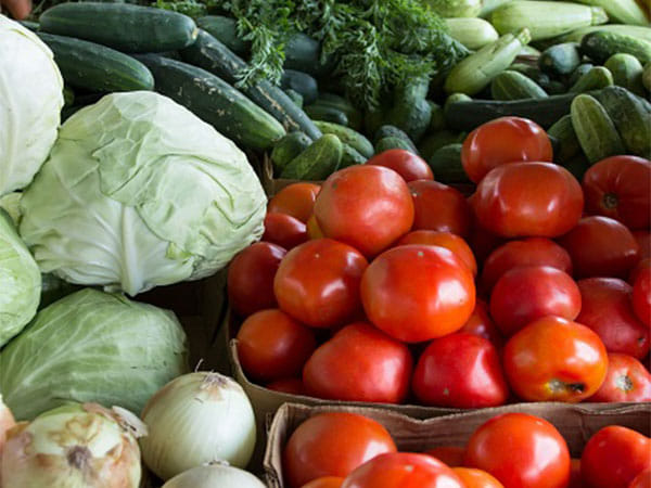 Govt aims to market organic farm produce under one umbrella through cooperative