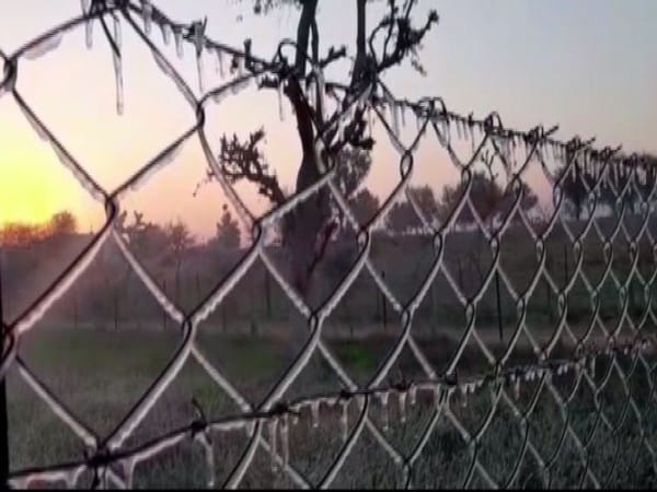 Rajasthan: Unabated cold wave in Sikar as mercury drops to minus 4.5 degrees Celsius