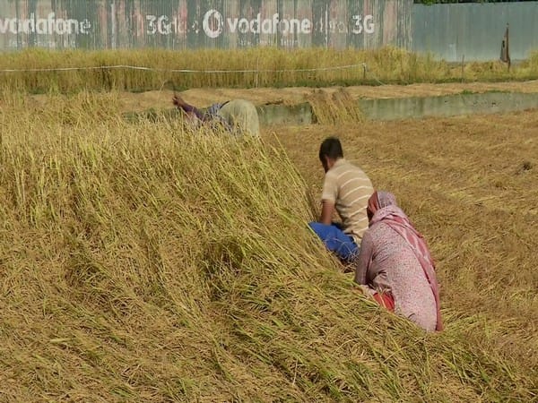Next farming revolution has begun in India