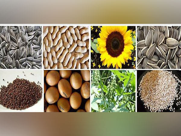 India's overall oilmeal exports rose 60% so far in 2022-23