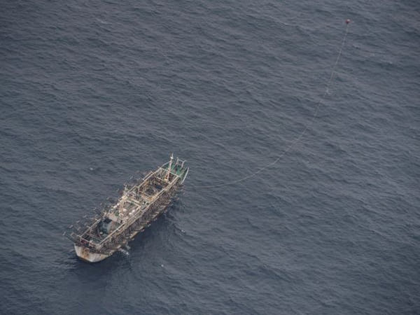 Chinese distant-water fishing activities growing rapidly, unsustainably across world