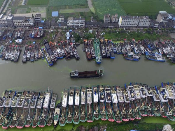 China adamant about turning environmental laws into laughing stock with its distant water fishing fleets