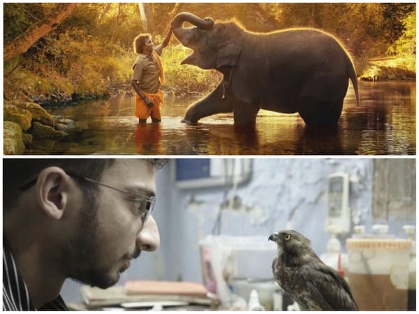 Indian documentaries 'All That Breathes' and 'The Elephant Whisperers' make it to Oscar nominations