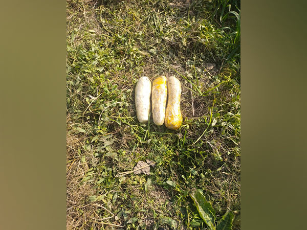 Punjab: BSF recovers 3 kg heroin in Ferozepur – ThePrint – ANIFeed