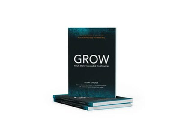 The pioneers of Account-Based Marketing (ABM) release new book to help executives drive market-beating growth in a volatile world