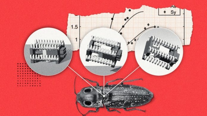 Scientists create beetle-sized jumping robots | Photo: News.illinois.edu/