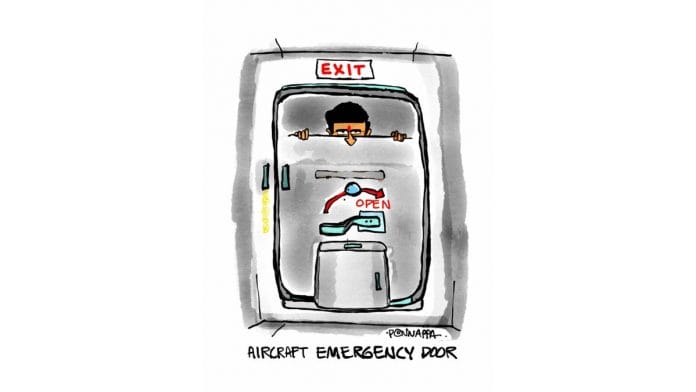 Nala Ponnappa | Twitter/@PonnappaCartoon