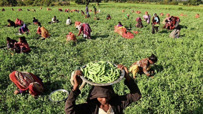 File photo of farmers during a harvest | ANI