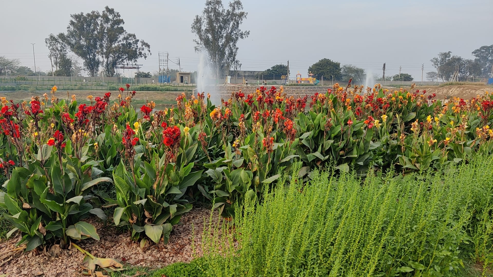 Scenes from an evening at Sanoth Lake | Sonal Matharu, ThePrint 