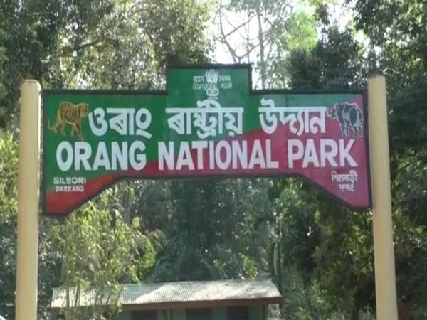 Royal Bengal tiger found dead in Assam's Orang National Park