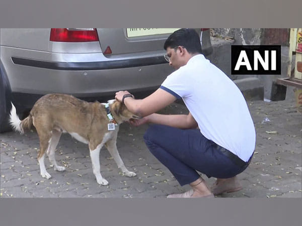 Mumbai man develops tags with QR code to keep track of stray dogs