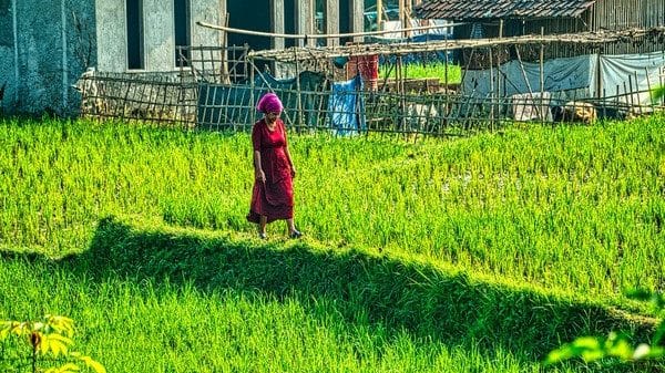 Representational Image ANI