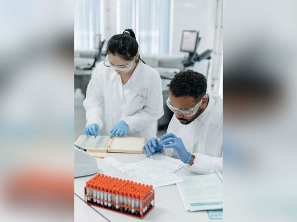 Researchers reveal role of polyphenols in regulating inflammatory immune responses