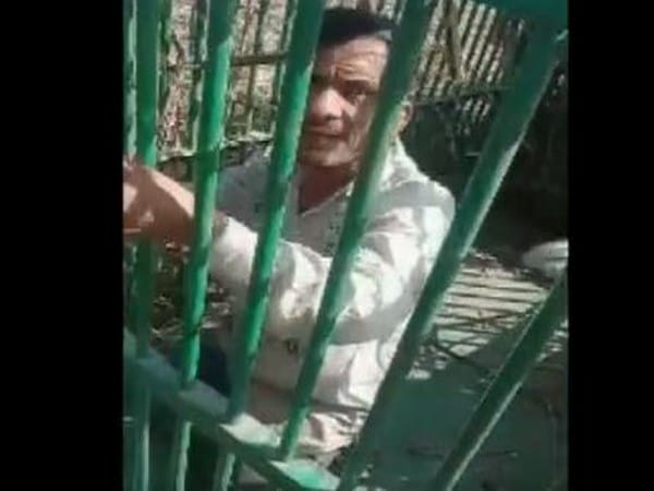 UP Man falls for bait, gets himself trapped in leopard cage
