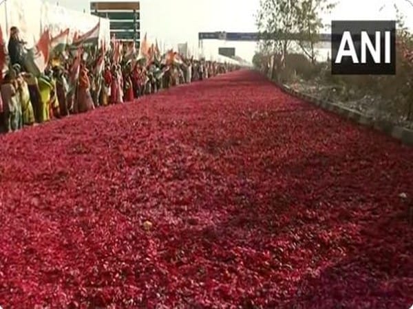 Congress plenary session: Street paved with flower petals to welcome Priyanka Gandhi in Raipur