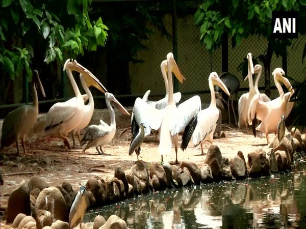West Bengal: Kolkata's second mini zoo 'Harinalaya' ready to welcome visitors