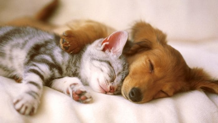 Representational image | Flickr