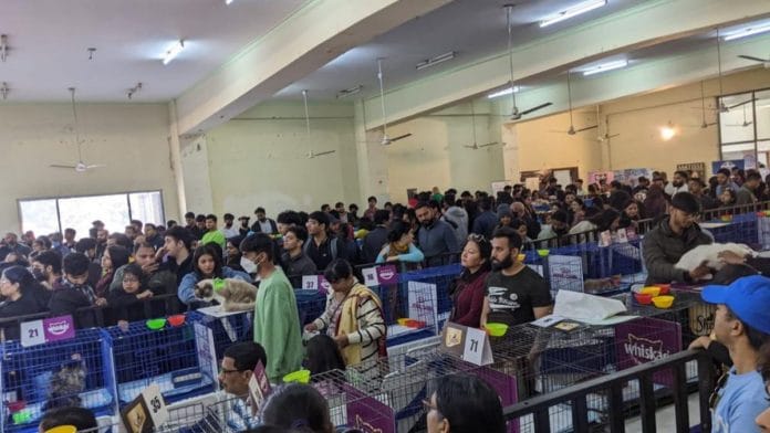 The cat carnival in Gurugram | Abantika Ghosh, ThePrint