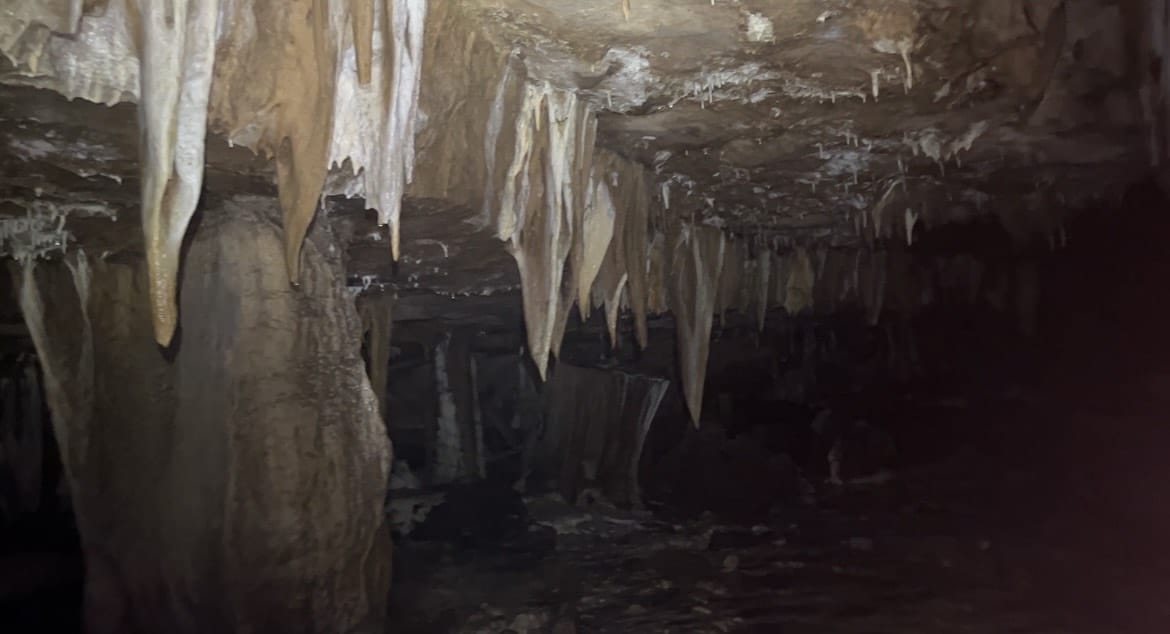 The 'Hanging Garden' area inside Mawmluh Cave where numerous stalactite hanging from the cave's ceiling | Photo: Monami Gogoi | ThePrint