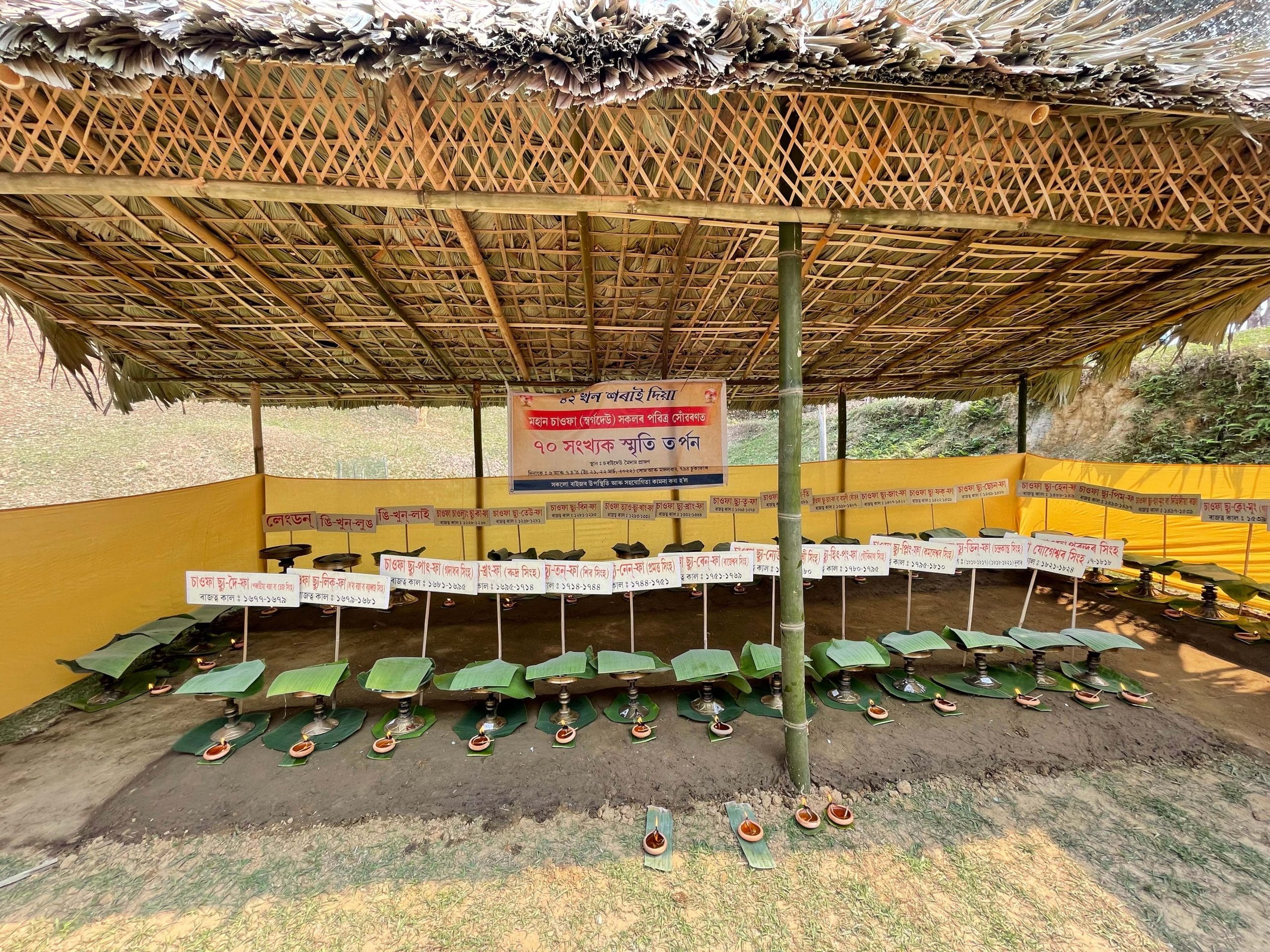 Horais being arranged for Tarpan | Special arrangement