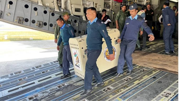 The 12 cheetahs being relocated to India from South Africa land at Air Force Station in Gwalior Saturday | ANI