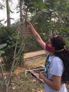 Uttara Ganesh checking on one of the Miyawaki plantations at the Mulund micro forest | Manasi Phadke, ThePrint