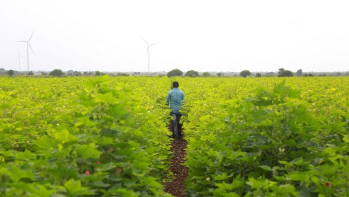 In her budget speech, Sitharman announced that an Agriculture Accelerator Fund will be set up to encourage agri-startups by young entrepreneurs | File photo by ThePrint