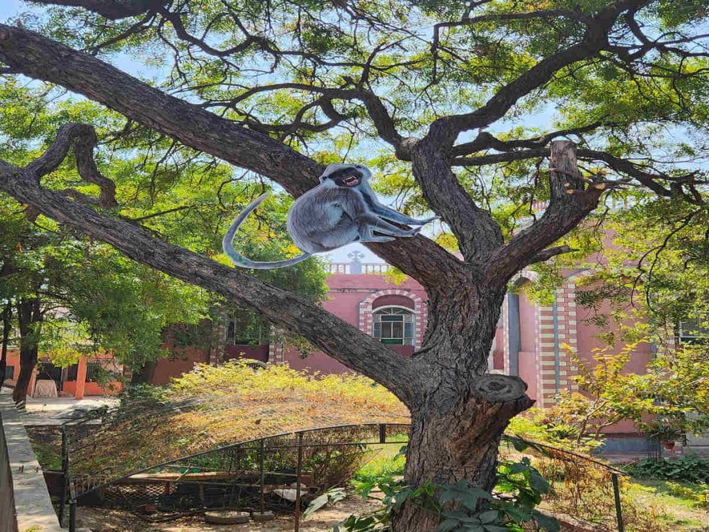 langur cutout in agra 