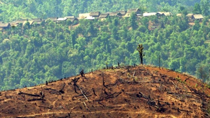 Deforestation | Representational image | Flickr Deforestation | Representational image | Flickr