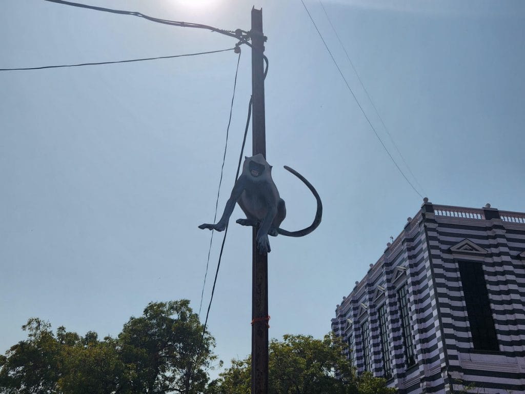 Langur cutout at St Peter's college in Agra