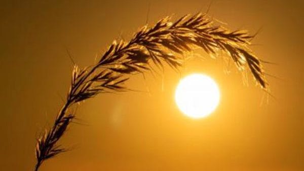 Representative image | ANI