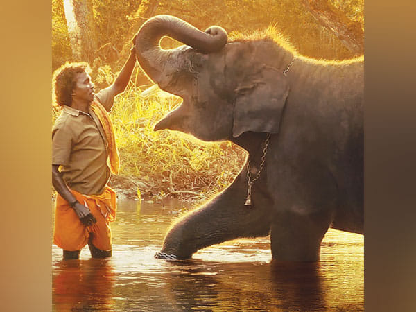 India wins Oscar: Guneet Monga's 'Elephant Whisperers' wins award in Best Documentary Short Film category