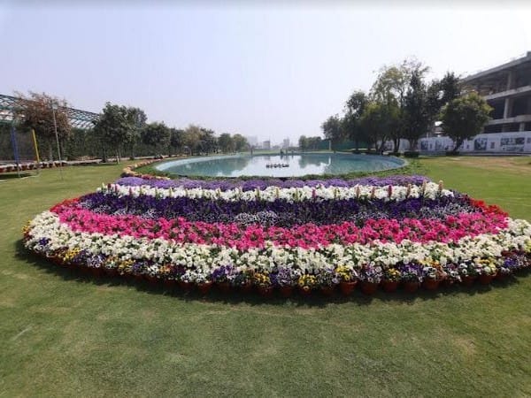 Flower Fiesta at Central Park Flower Valley: A mesmerising treat for garden lovers