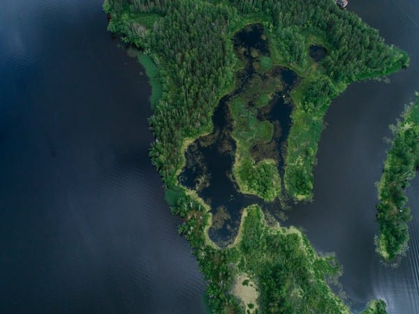 Activity deep in Earth affects the global magnetic field