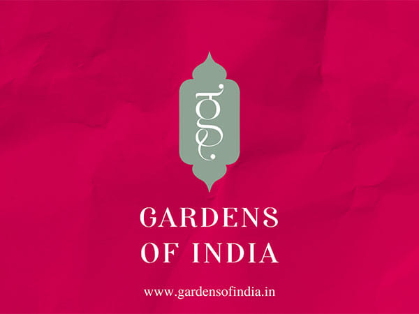 Bringing India's finest tea, spices, and foods to your doorstep: Gardens of India's ecommerce launch