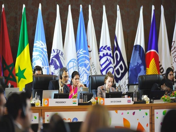 Delegates discuss energy security, climate change at second G20 Framework Working Group meeting